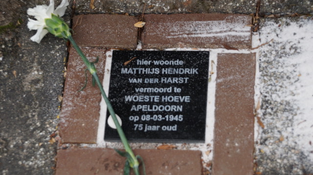 Matthijs Hendrik van der Harst door Evi Kunneman